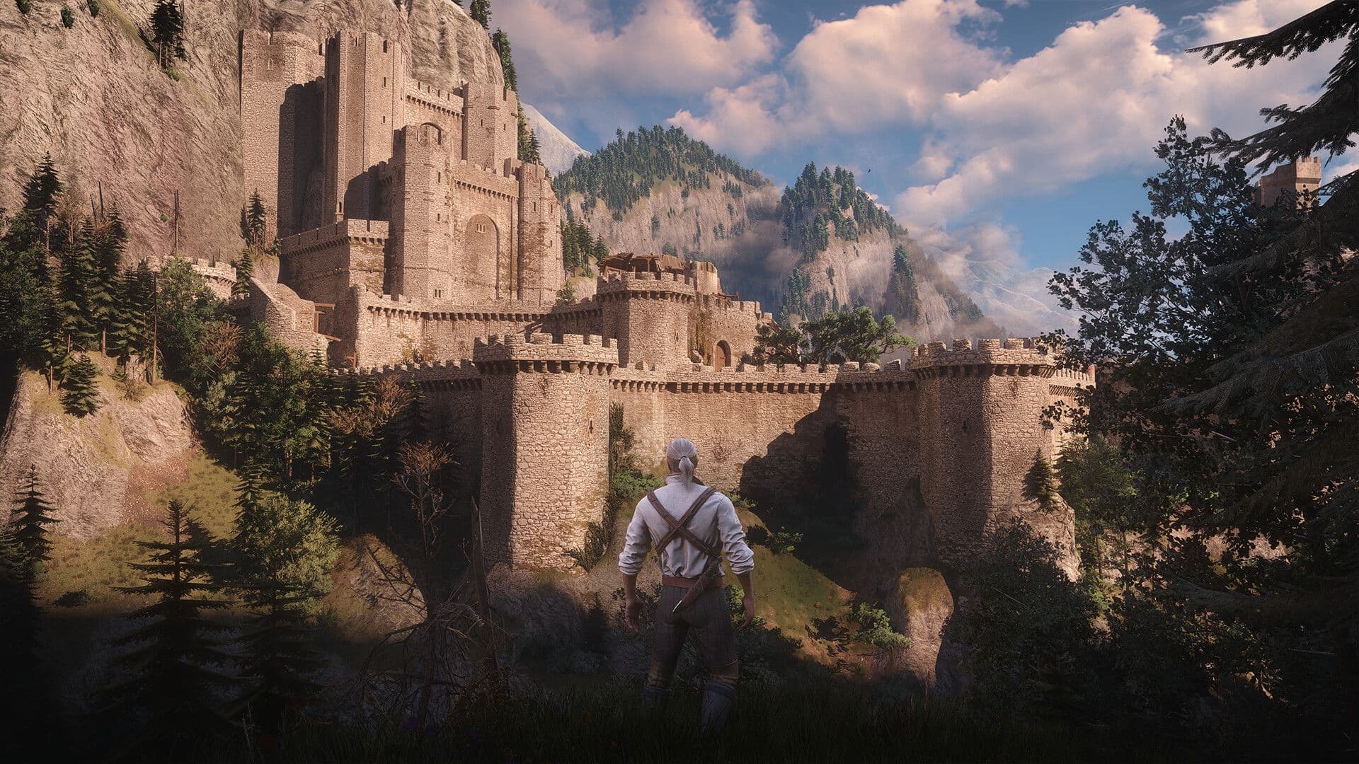 The Witcher 3: Wild Hunt screenshot 3